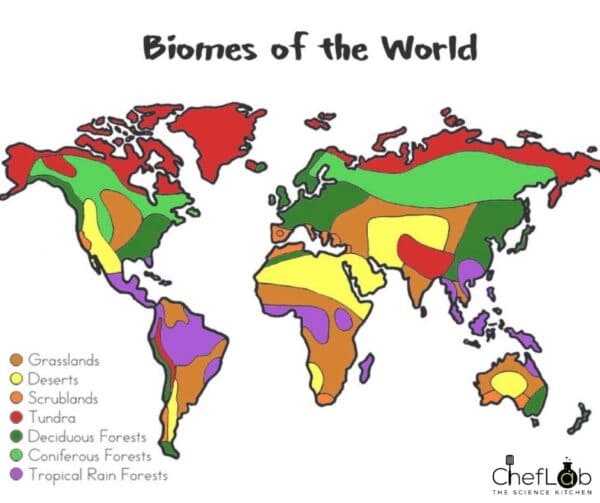 Biomes of the world map